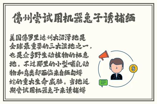 星空无限mv国产剧